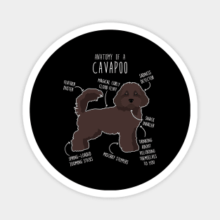 Chocolate Cavapoo Dog Anatomy Magnet